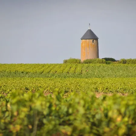 Renove Avec Terrasse Et Jardin A Clisson, Proche Gare, Commerces, Restaurants Et Vignoble Nantais - Fr-1-306-900 Clisson