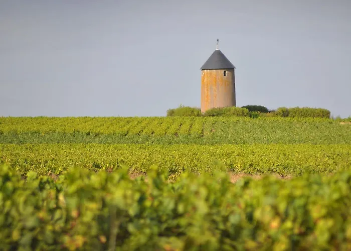 Rénové Avec Terrasse Et Jardin à Clisson, Proche Gare, Commerces, Restaurants Et Vignoble Nantais - Fr-1-306-900 Clisson